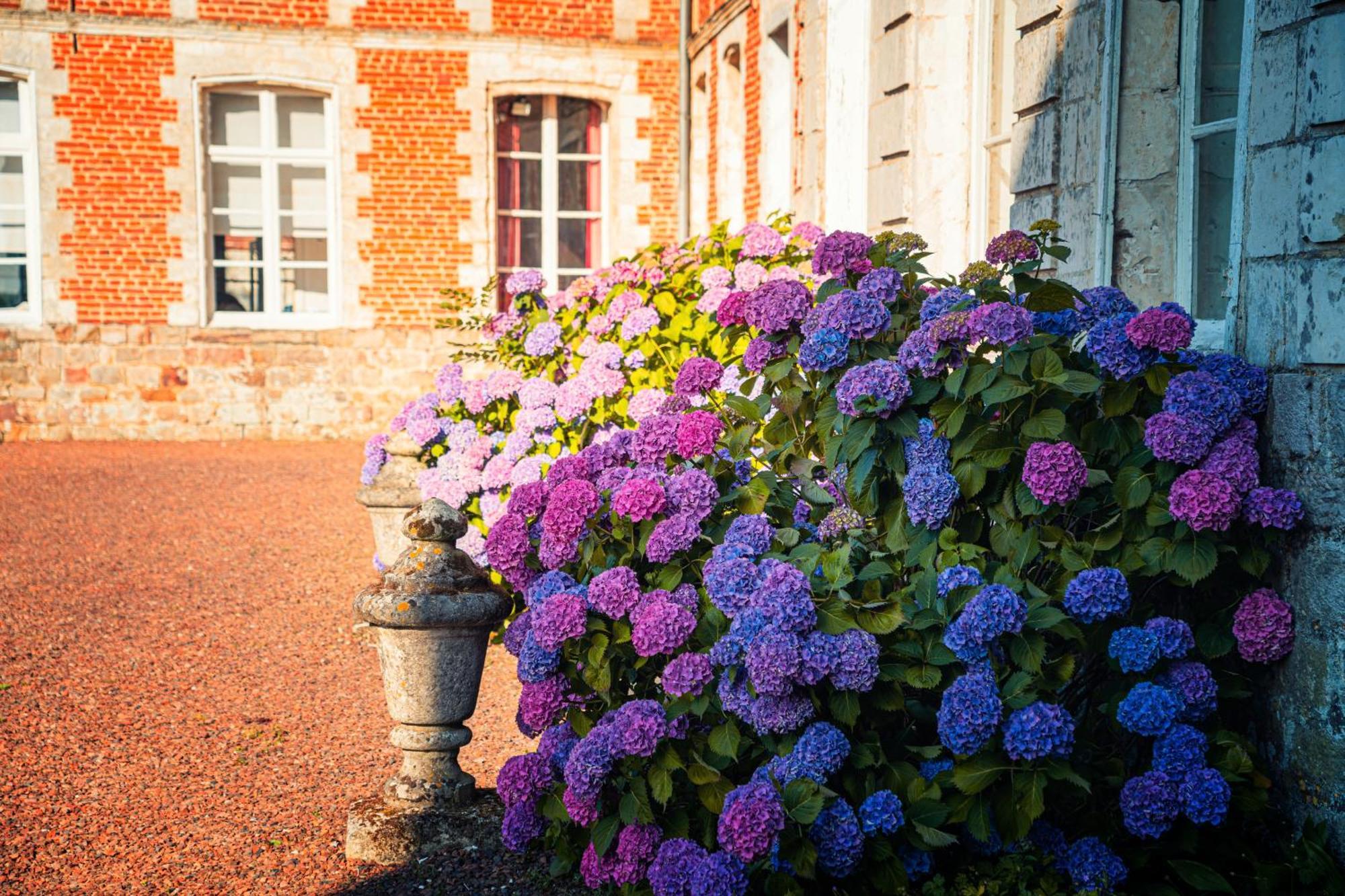 Chambres D'Hotes & Gites Du Chateau De Grand Rullecourt Екстер'єр фото