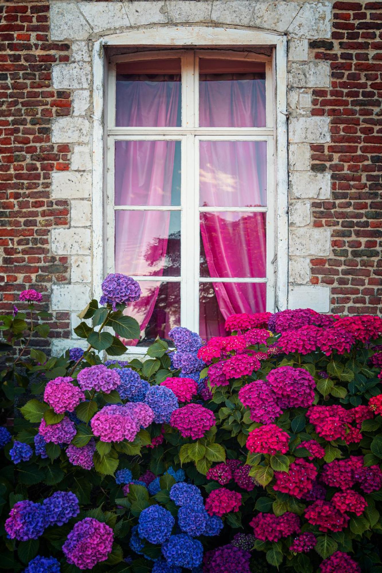 Chambres D'Hotes & Gites Du Chateau De Grand Rullecourt Екстер'єр фото